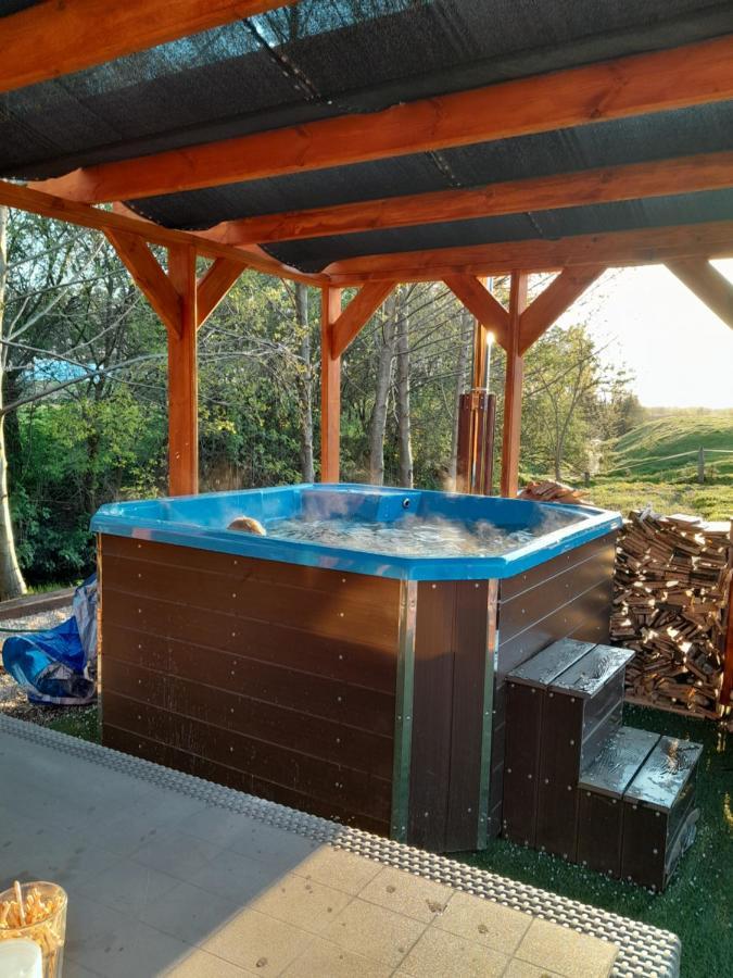 Pensjonat Agroturystyczny Pod Modrzewiem Bed and Breakfast Florczaki Εξωτερικό φωτογραφία
